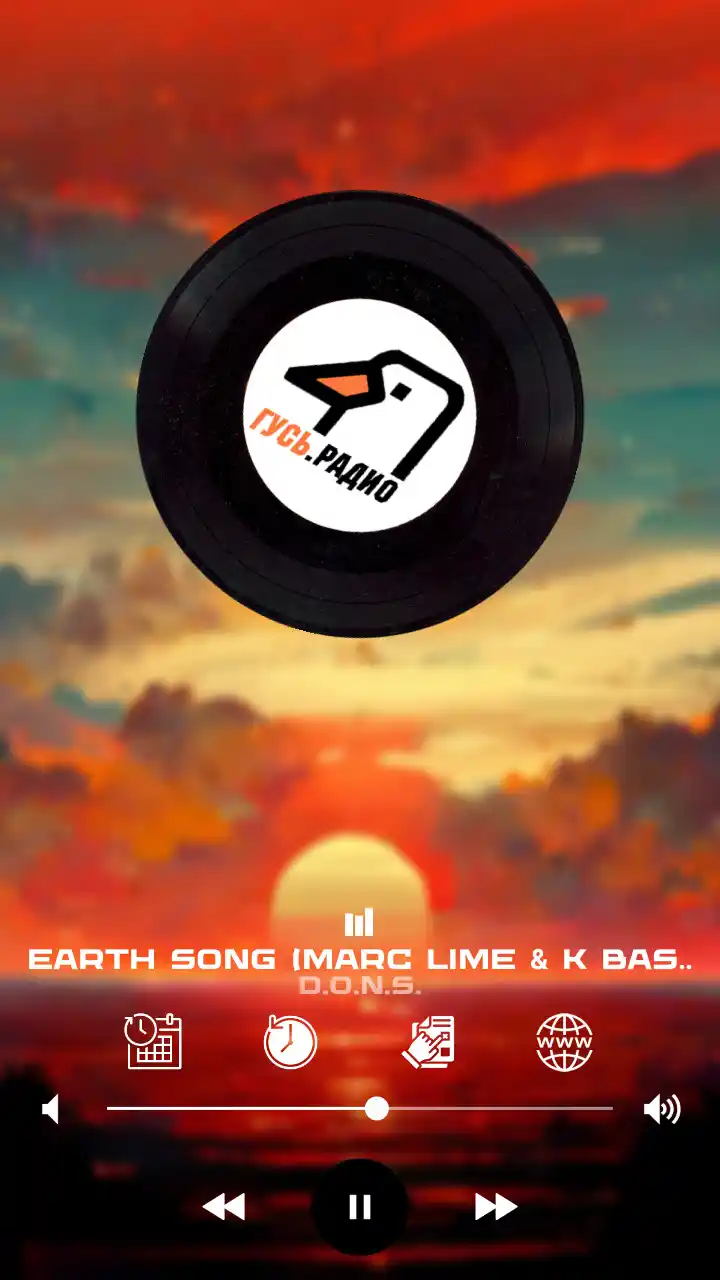 Скриншот приложения Радио Гусь